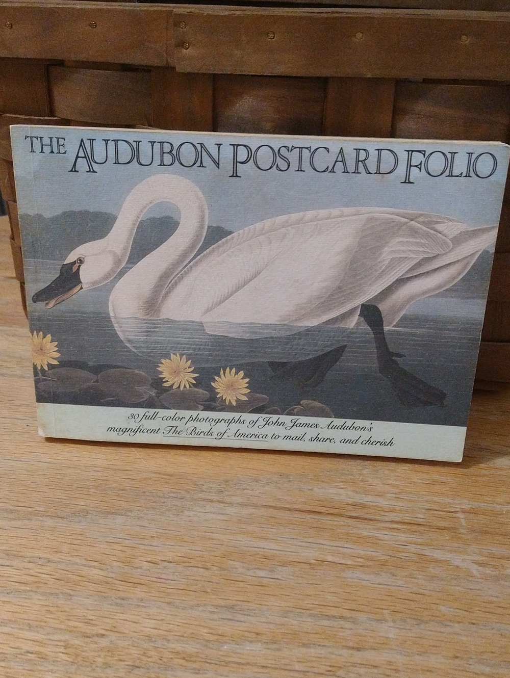The Audubon Postcard Folio